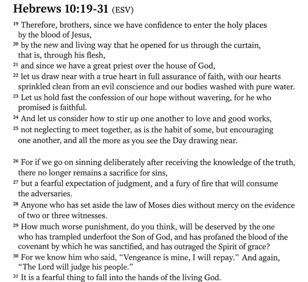 Hebrews 1019-31